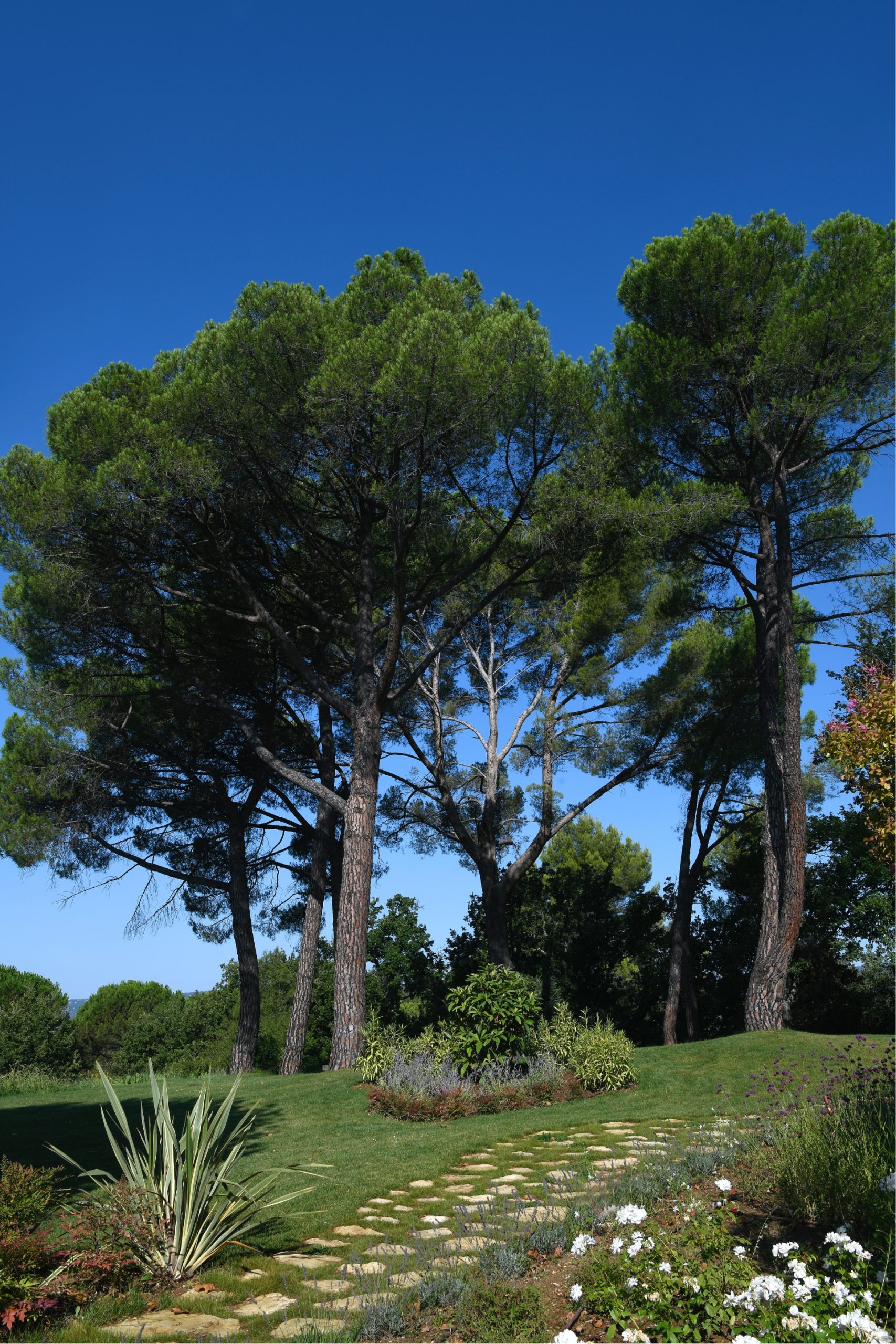 colline perreal-agriculture biologique-faune